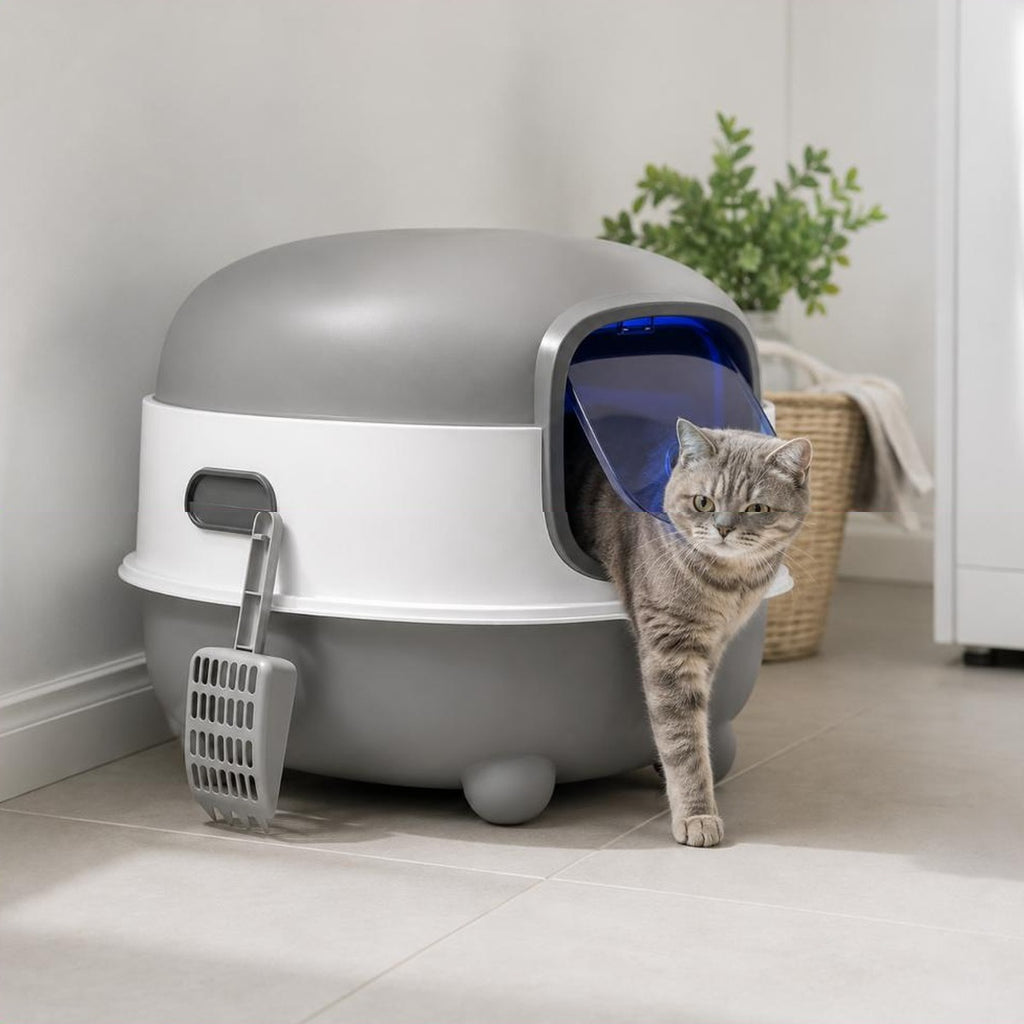 Chat tigré poussant la porte battante de la maison de toilette Juliette dans une buanderie