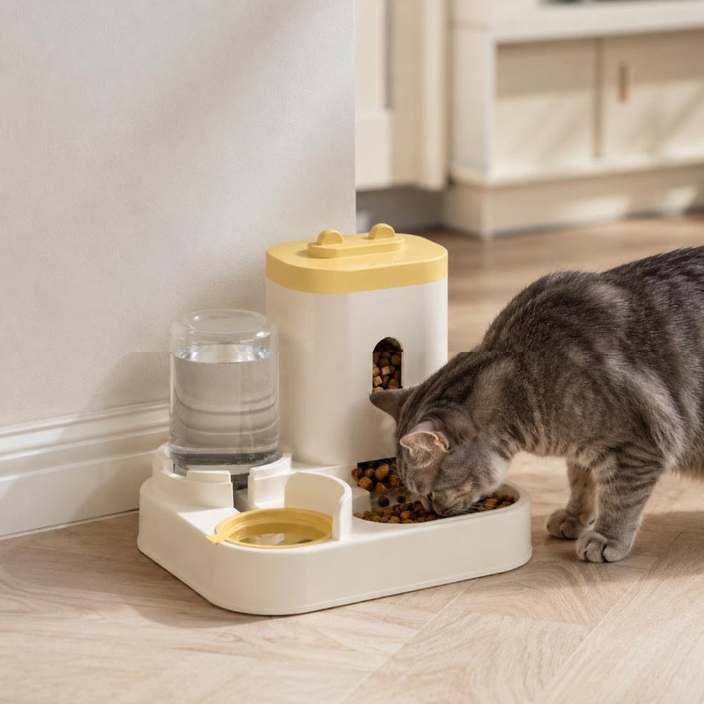 Chat gris tigre qui mange dans la gamelle gravitaire Hortense, posee au sol dans une cuisine