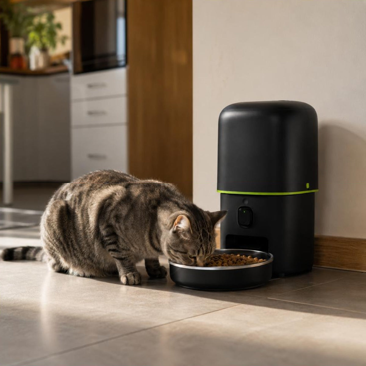 Chat tigré mangeant dans la gamelle inox du distributeur Adèle posé dans un coin de cuisine