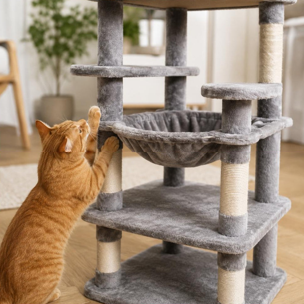 Gros plan sur un poteau en sisal de l arbre a chat Colette, chat roux qui griffe