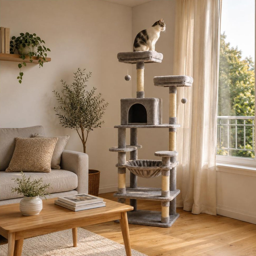Arbre a chat Colette place pres d une fenetre a cote d un canape, chat sur le perchoir