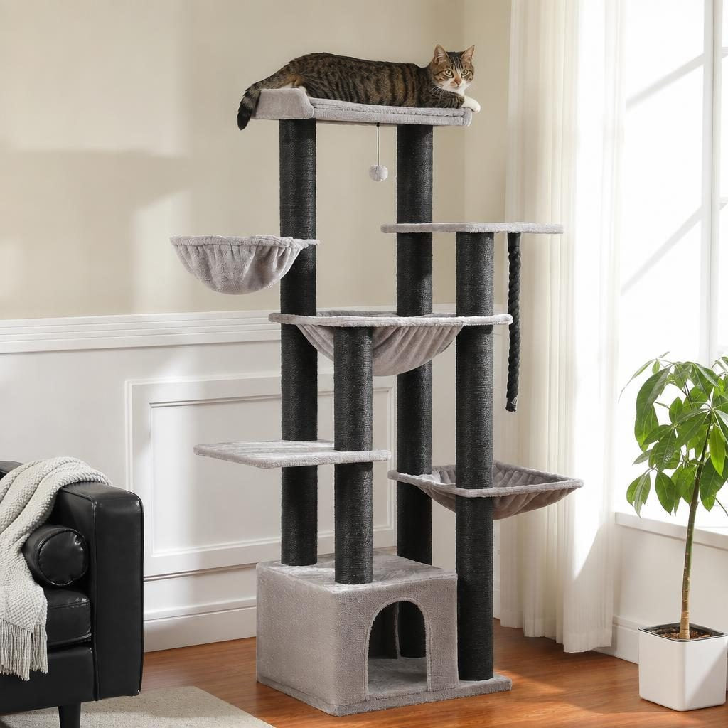 Chat allongé sur le perchoir supérieur de l'arbre Séraphine